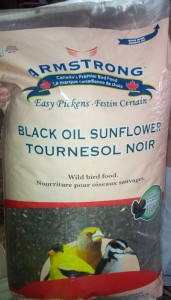 Black Oil Sunflower Seeds-image